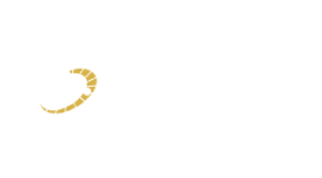 Sesame