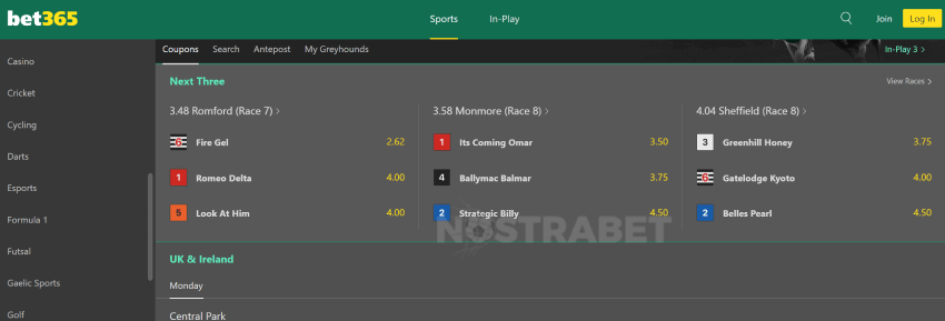 bet365 greyhounds betting