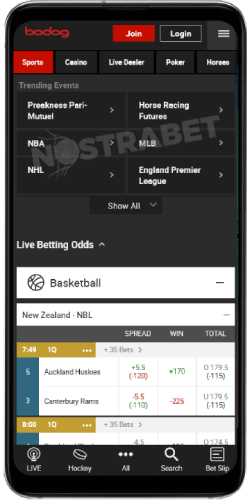 Bodog Mobile Version