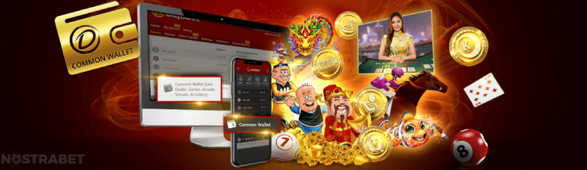 dafabet common wallet bonus India