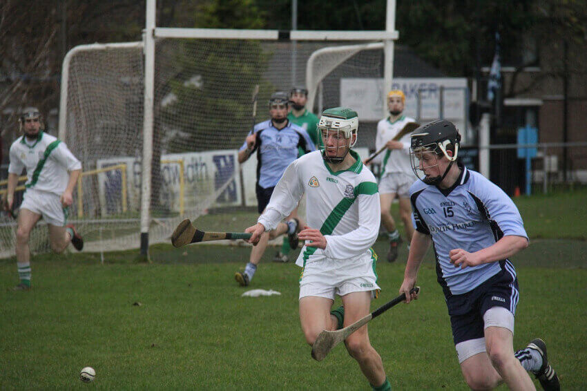 hurling match players